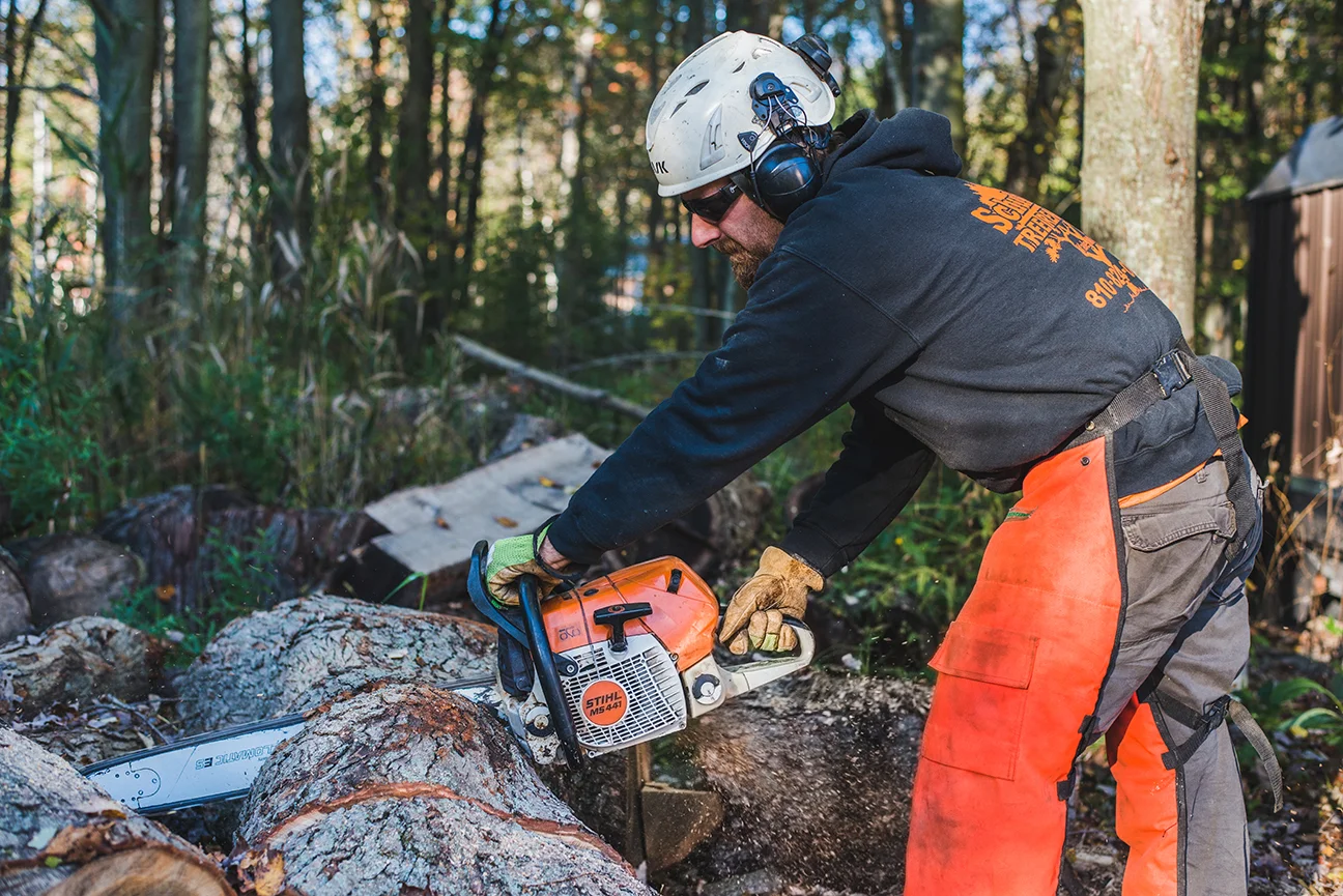 Schultzs Tree Removal Free Estimates.jpg