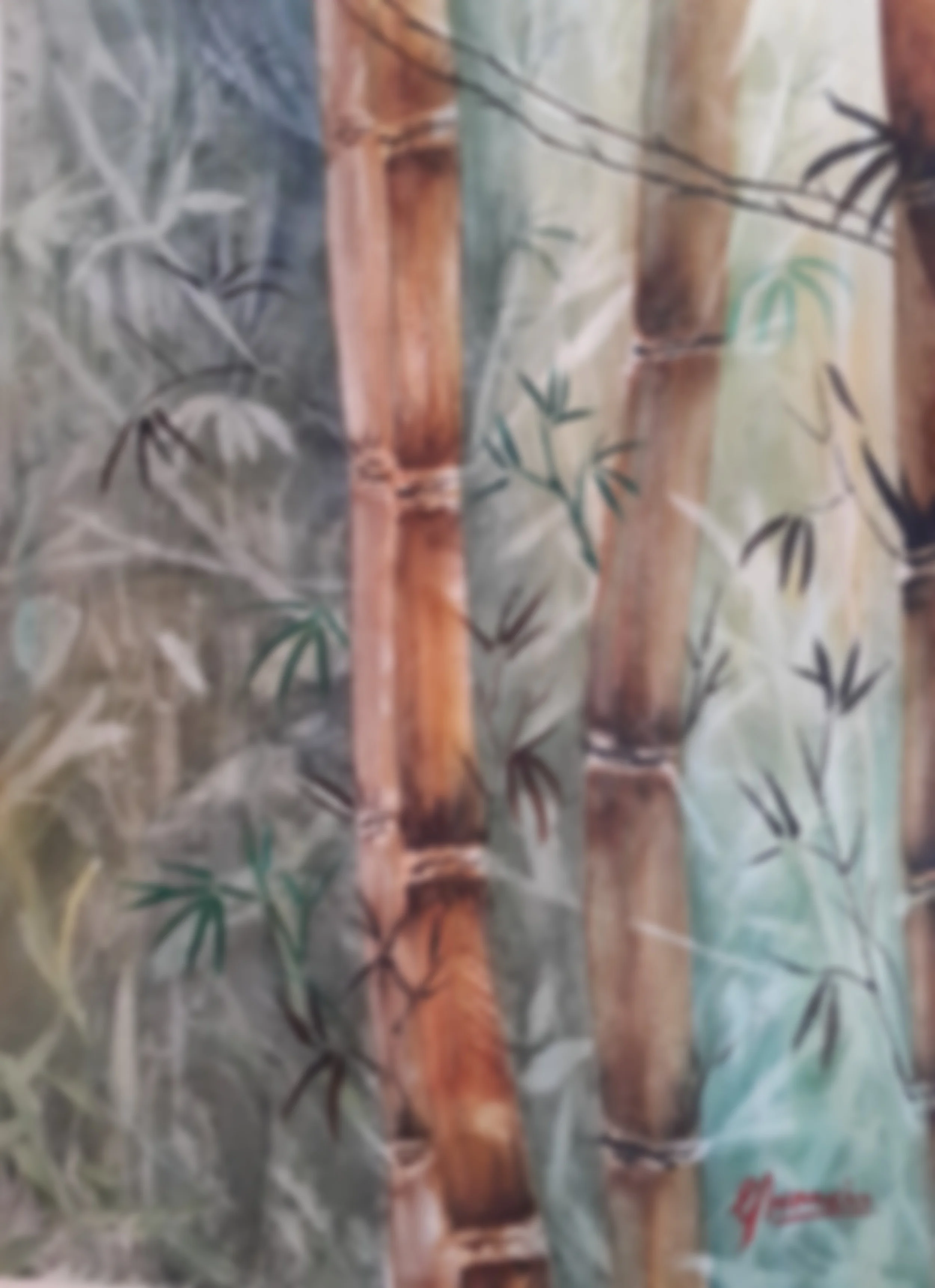 Bamboo Patch