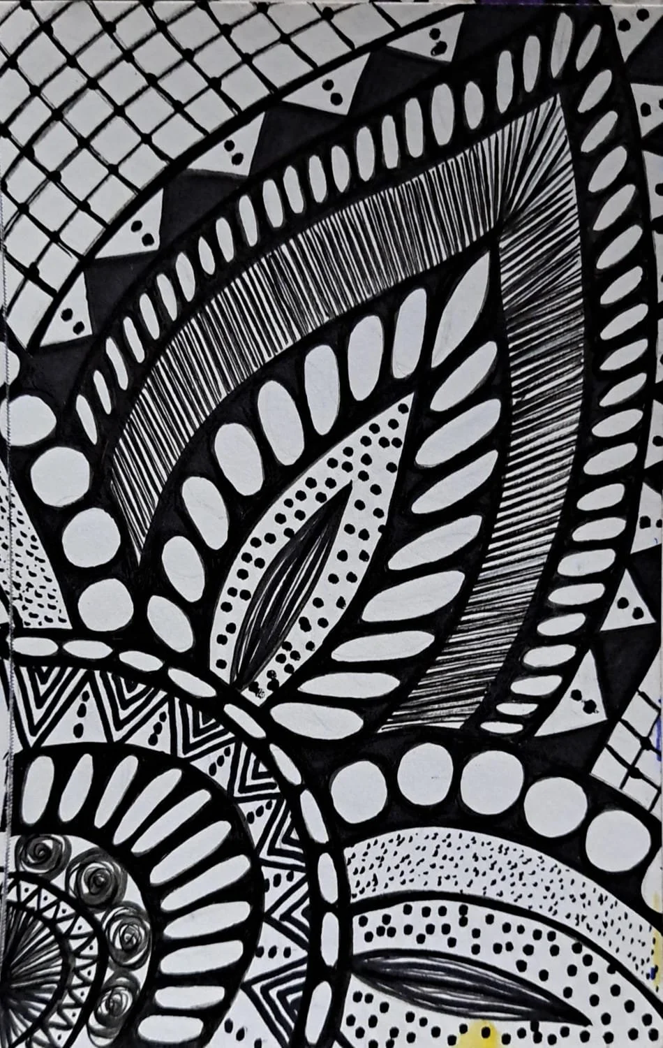 WhatsApp Image 2025-12-02 at 10.02.59 AM-2.jpeg