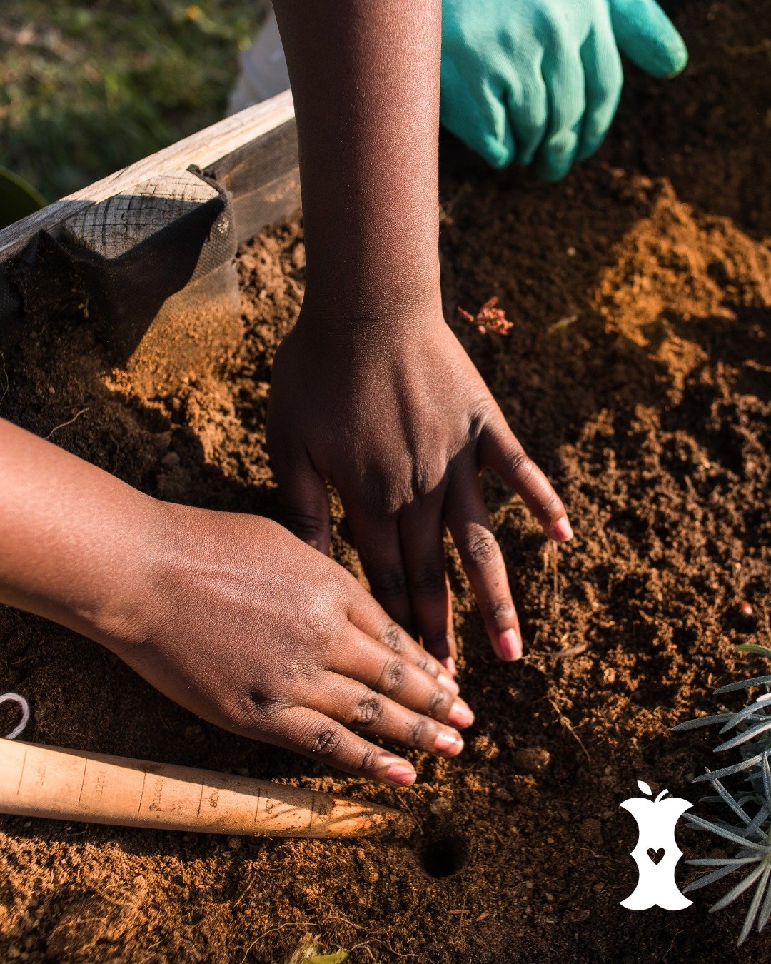 Think compost is just &ldquo;dirt&rdquo;? Think again! 🌱

With a thriving community of microbes (bacteria, fungi &amp; more!), finished compost becomes a 2-in-1 powerhouse:

✅ A slow-release fertilizer &rarr; Feeds plants essential nutrients WITHOUT