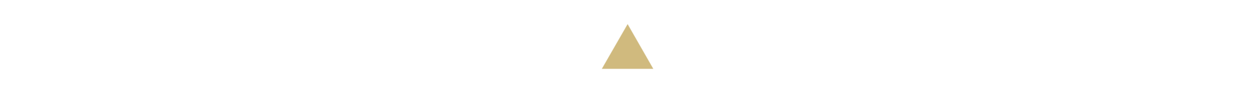 priya_triangle_dark_2.png
