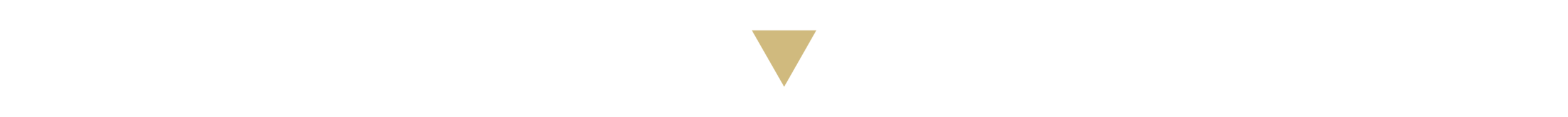 priya_triangle_dark.png