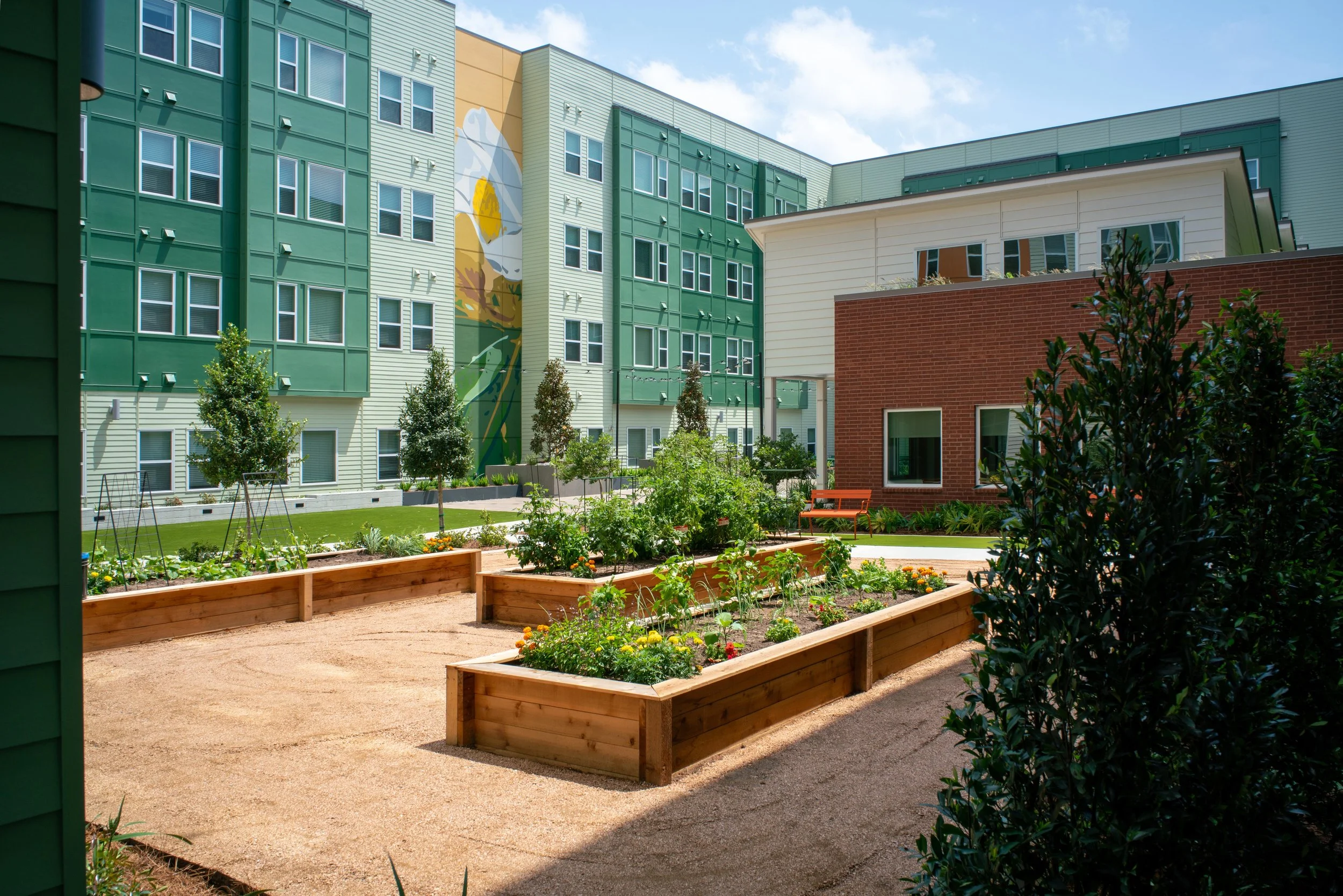 NHH Avenue C Photo (1).jpg