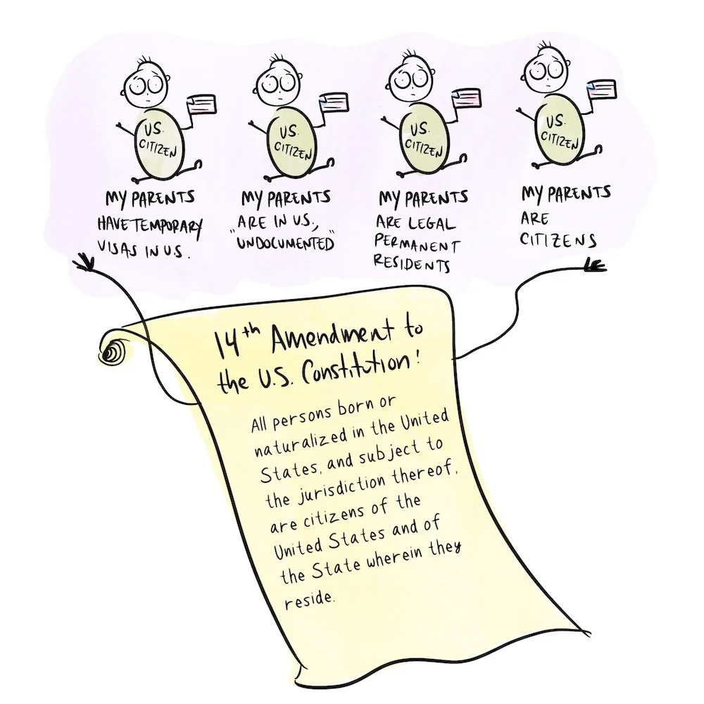 Drawing of little US citizen babies with notes about their parents' varying degrees of immigration status, all below a drawing of a scroll with the text of the 14th amendment.