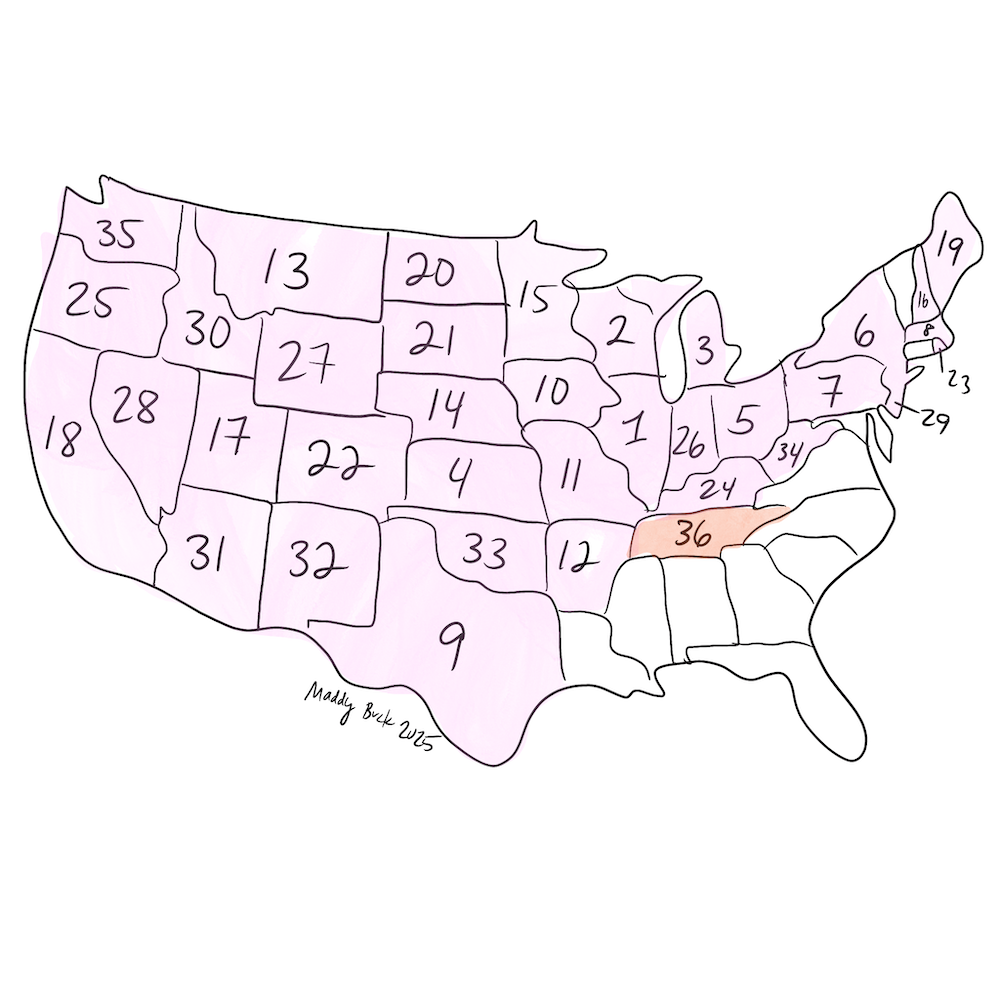 Illustration of the contiguous U.S., where all but the south eastern states are colored in pink with numbers. This shows that the states that ratified the 19th amendment were everyone but the South (and Vermont).