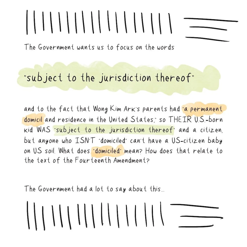 Stylized and colorful version of the text preceding this image, about The government and their argument about "subject to the jx thereof."