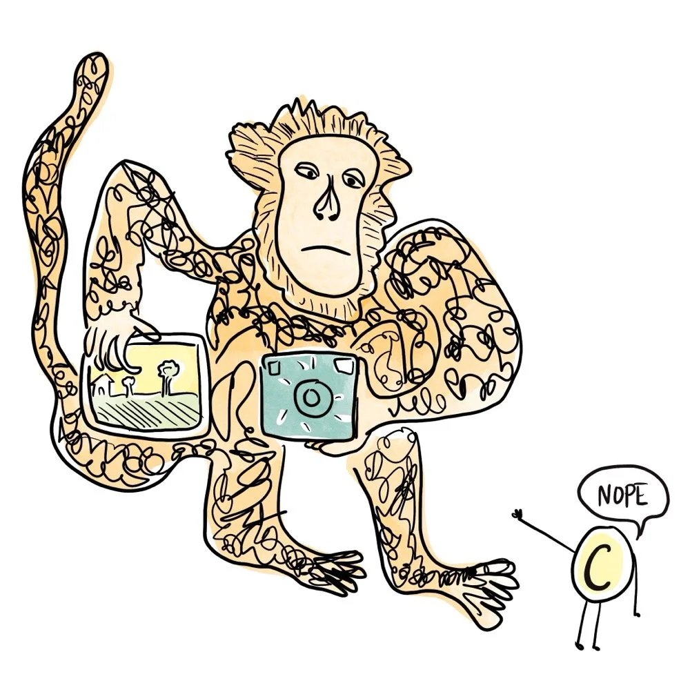 Monkey holding a photograph. Copyright symbol character is saying, "nope."