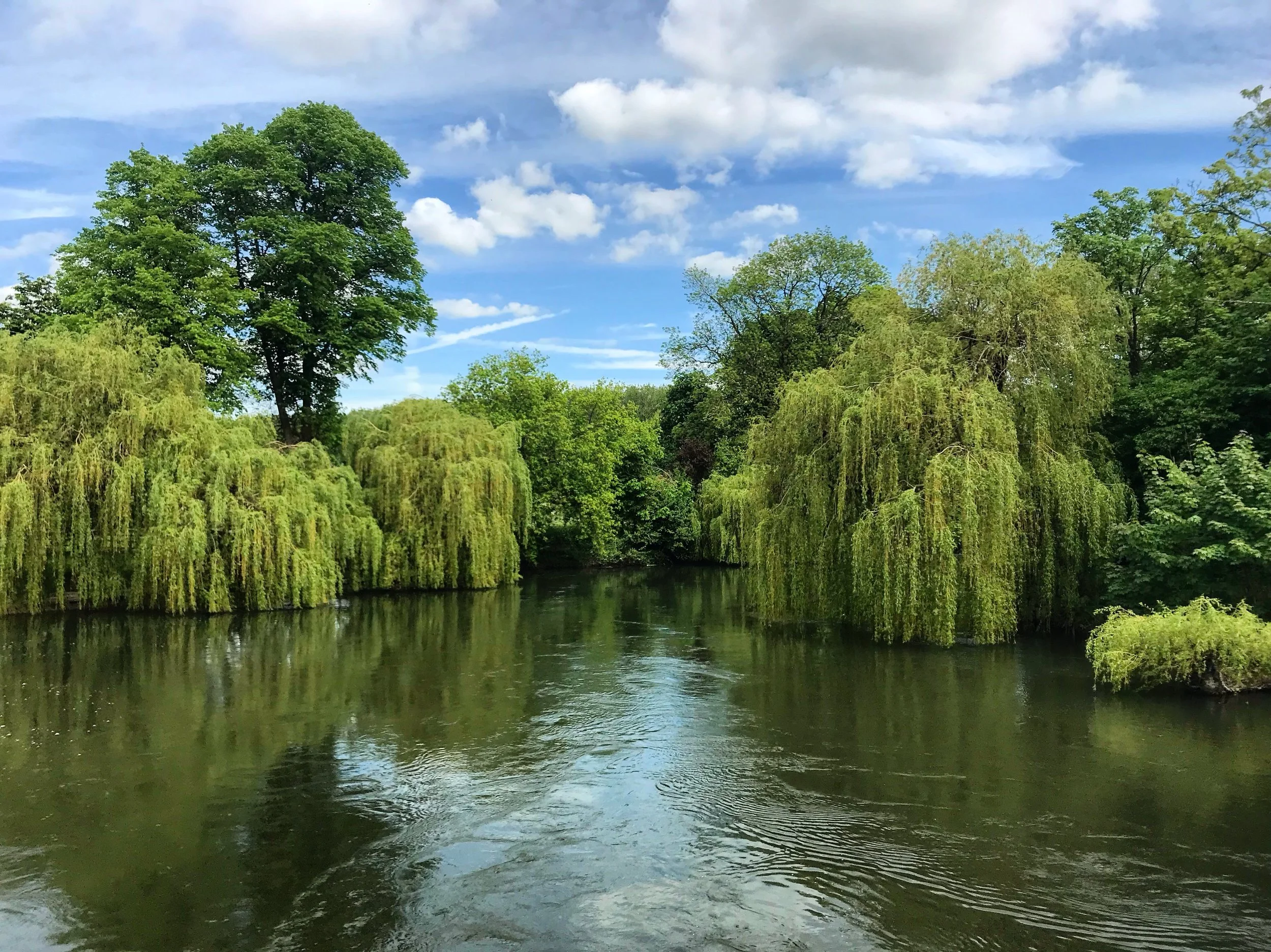 WHY WE LOVE THE WATER