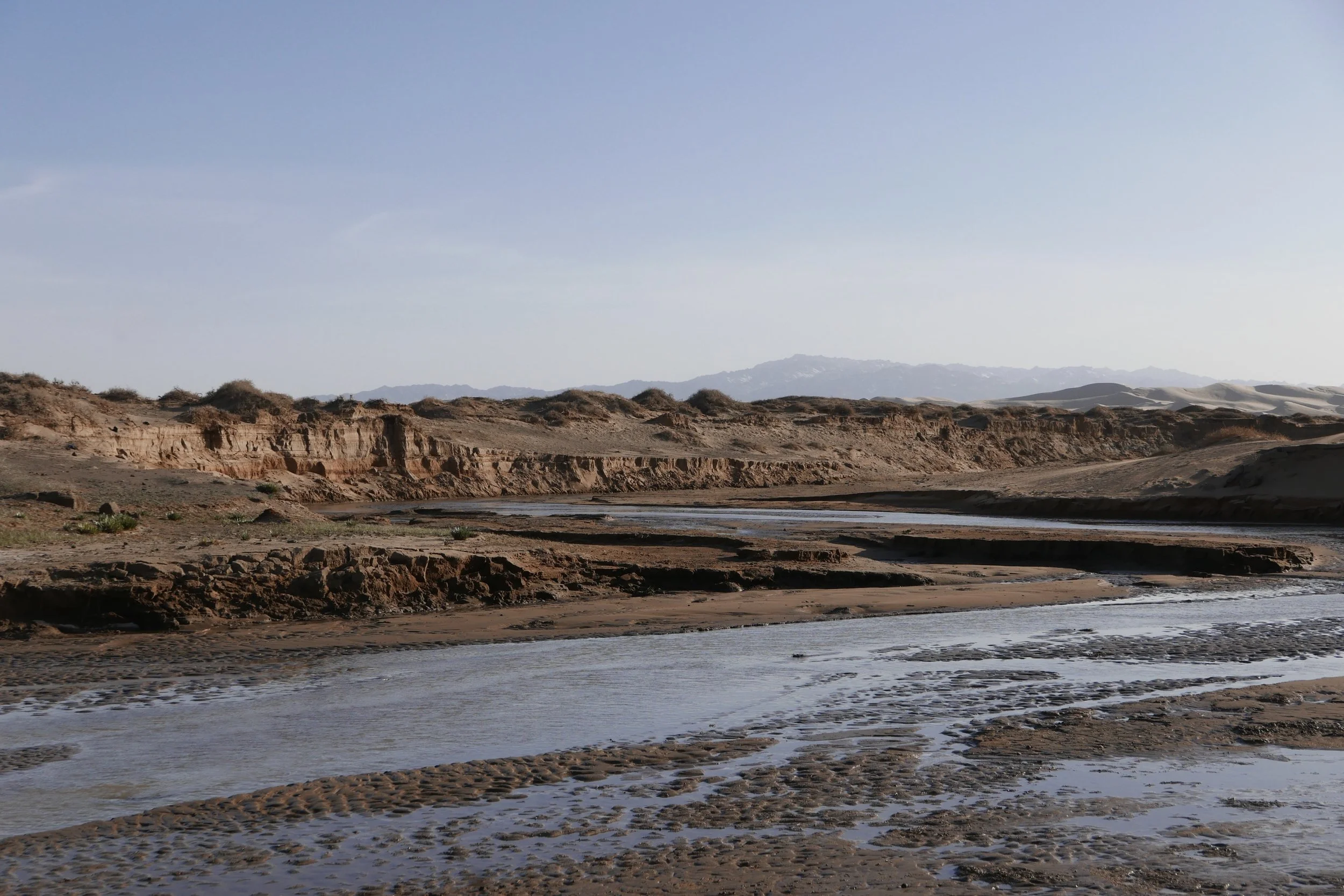 TRAVELLING IN MONGOLIA: GOLDEN GOBI