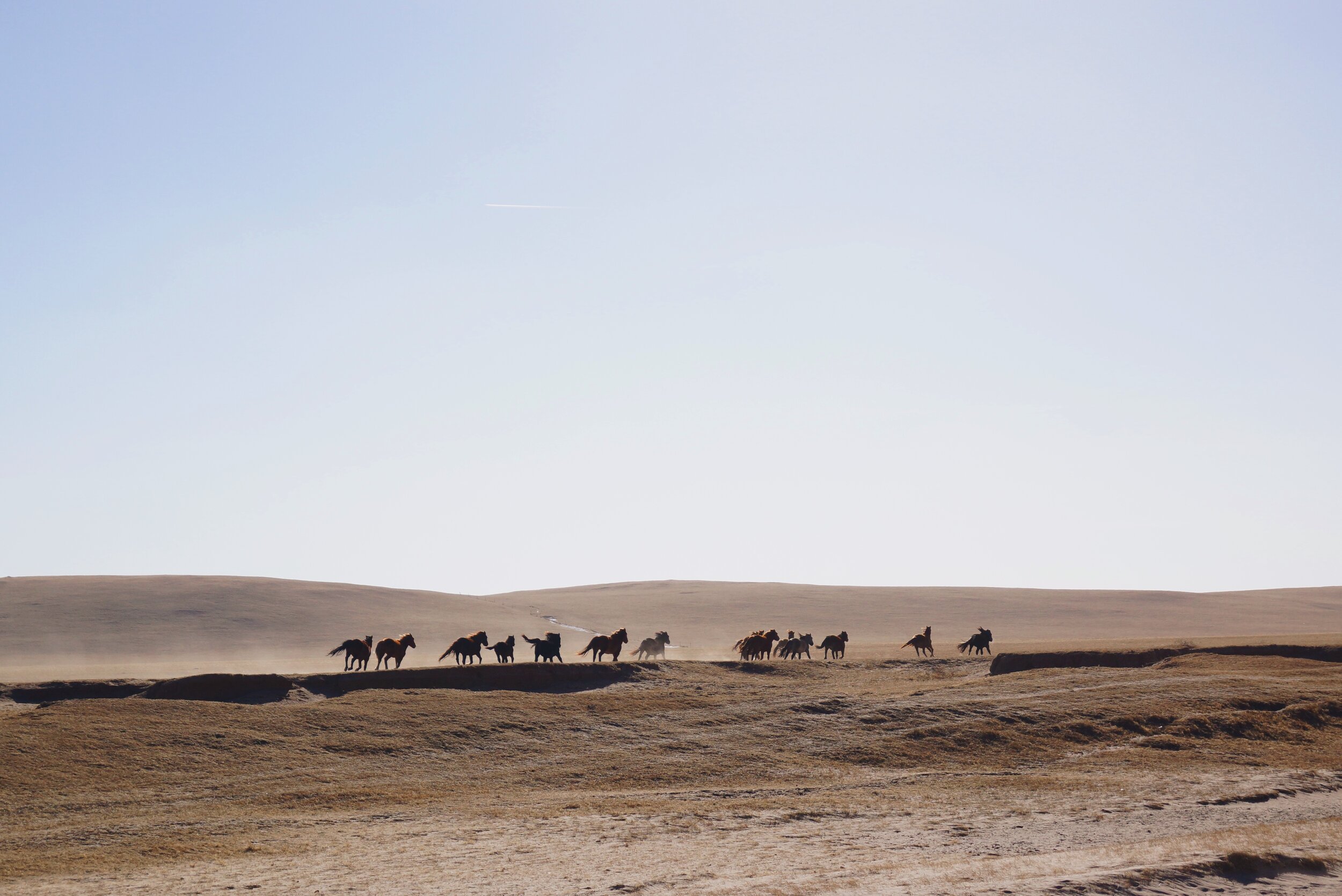 MONGOLIA