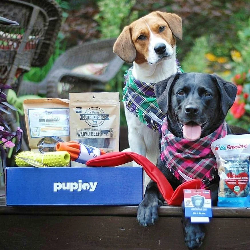 PupJoy