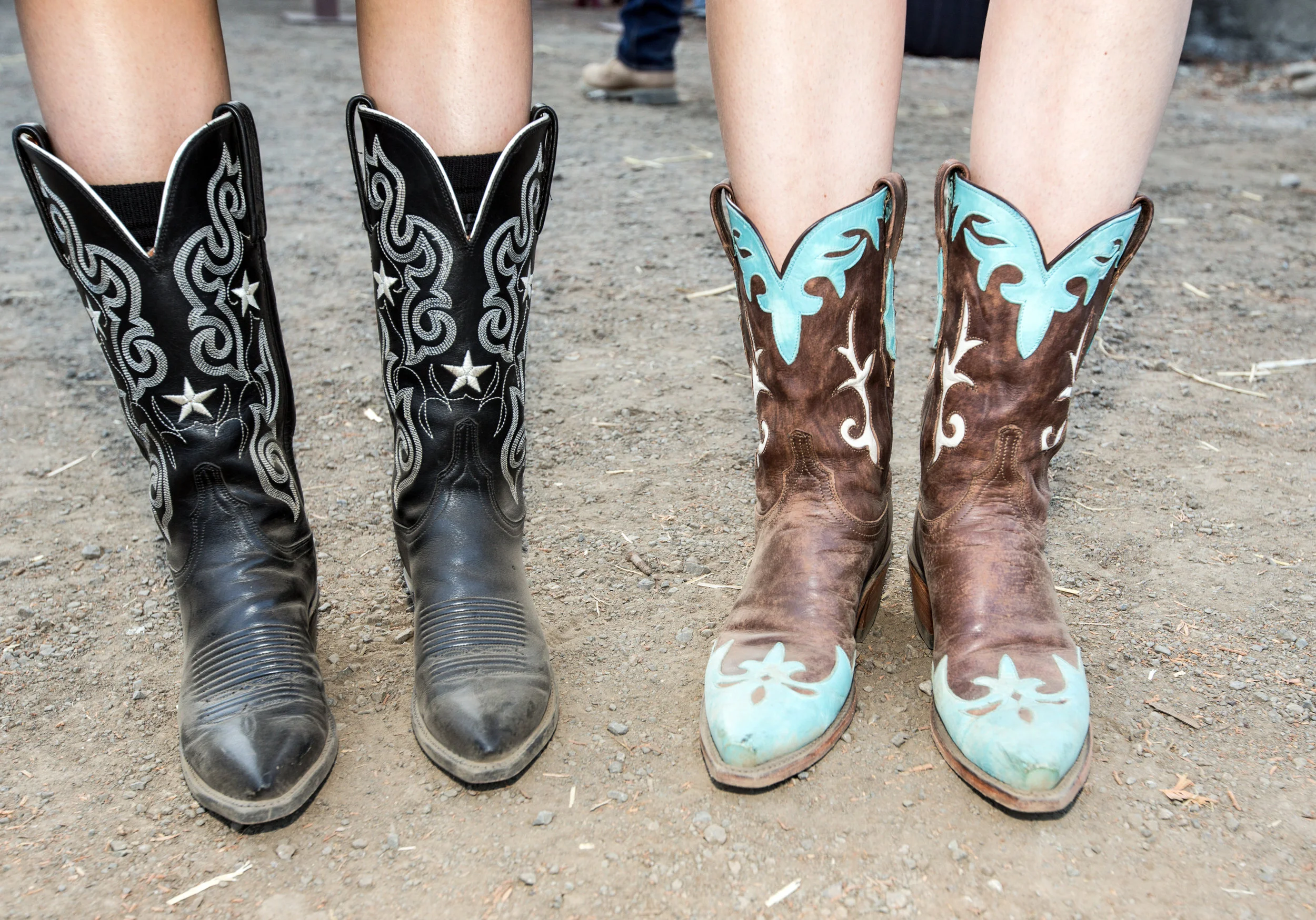 STOMP 2015 (1 of 1)-4.jpg