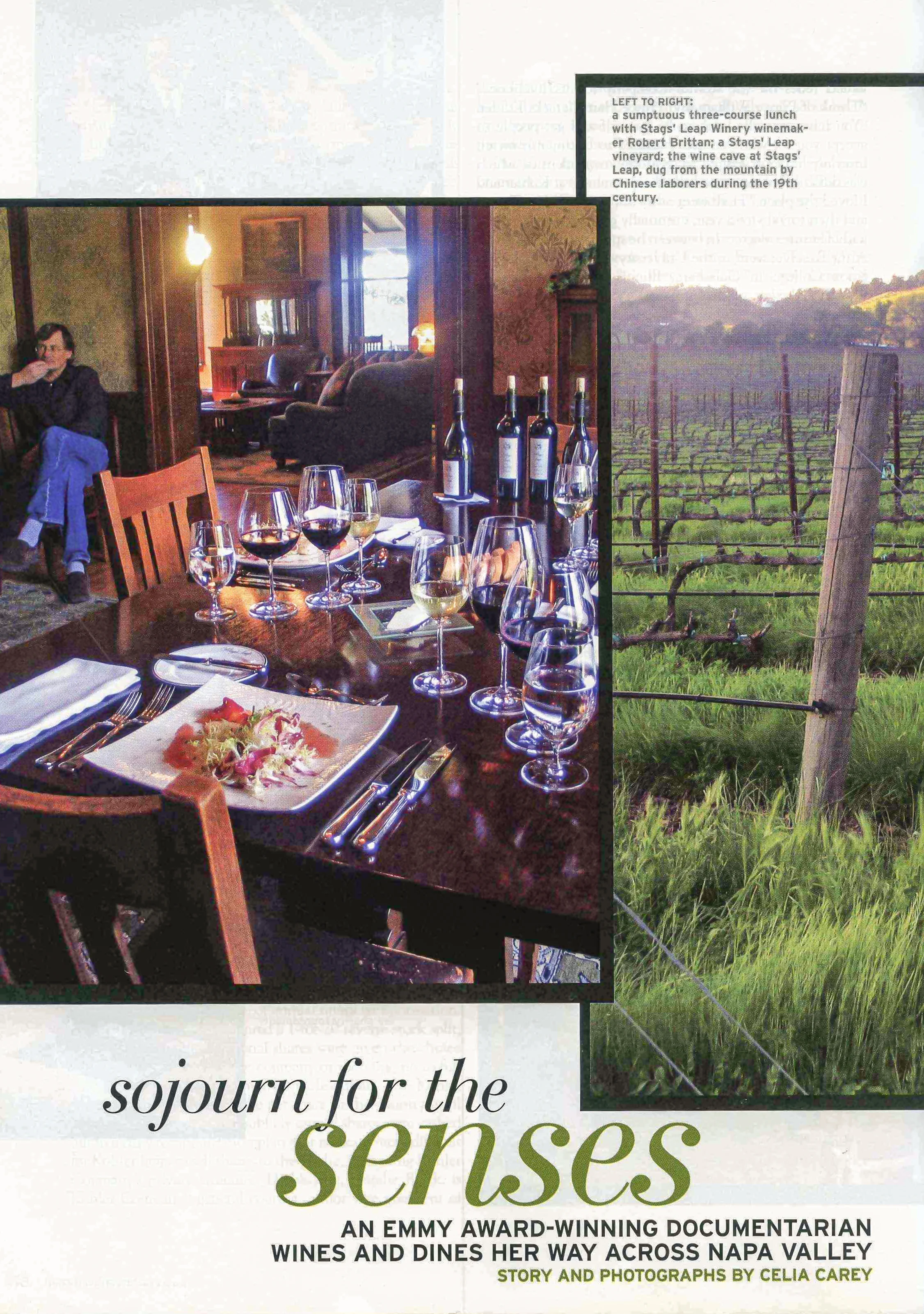 Sojourn for the Senses-1.jpg