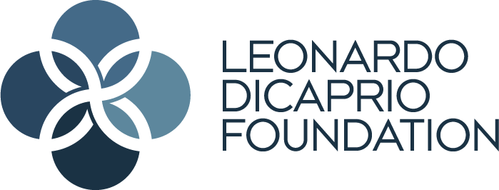 LDF_Logo.png