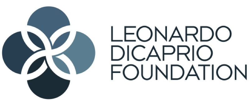 LDF logo.png