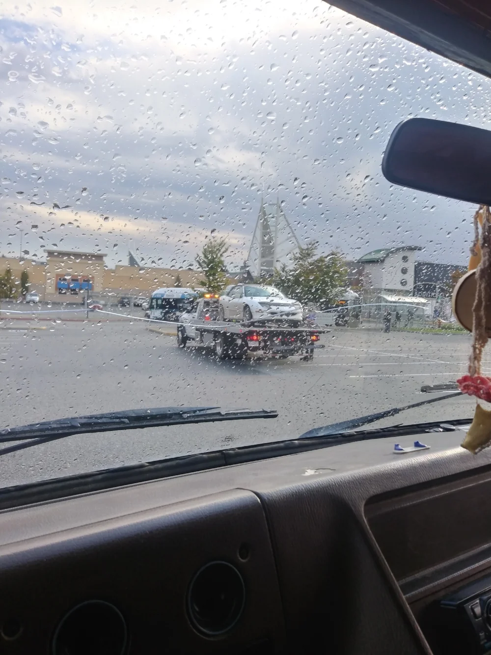 Goodbye, Bebe! Nanaimo, 2018.