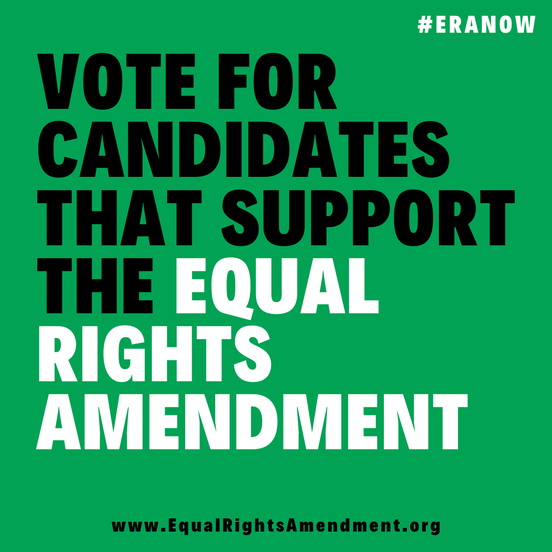 Vote for Pro-ERA Candidates.png