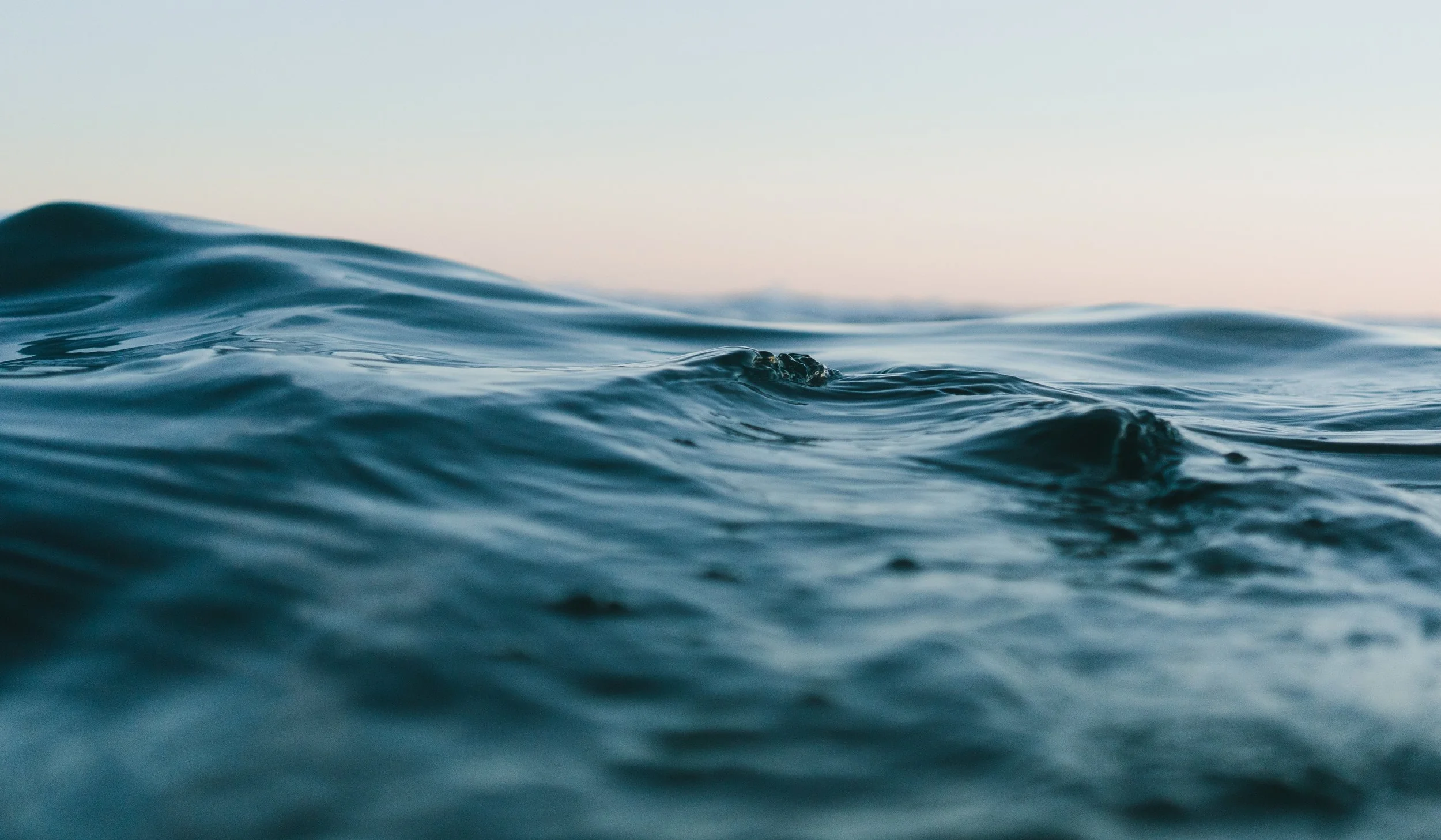 imgpsh_fullsize (2).jpeg