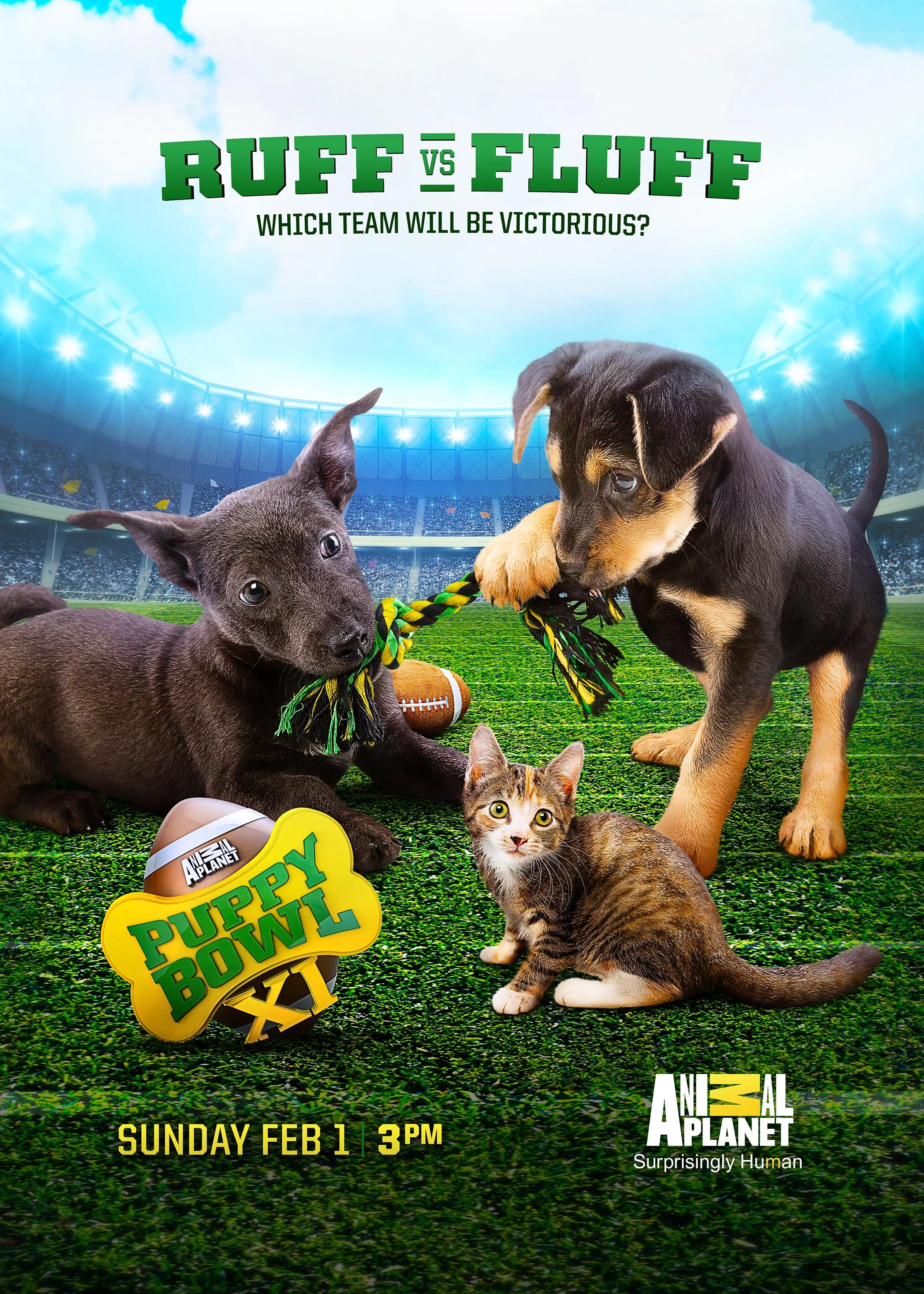 AP_PUPPY_BOWL_KEYART_2014.jpg