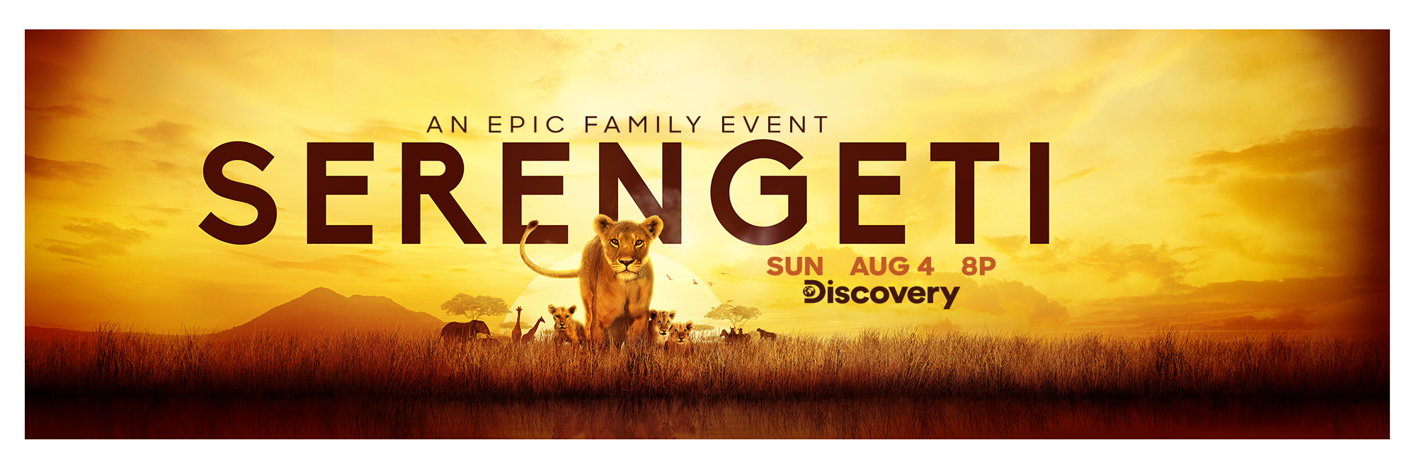 SERENGETI_BUS_WRAP_LEFTSIDE.jpg