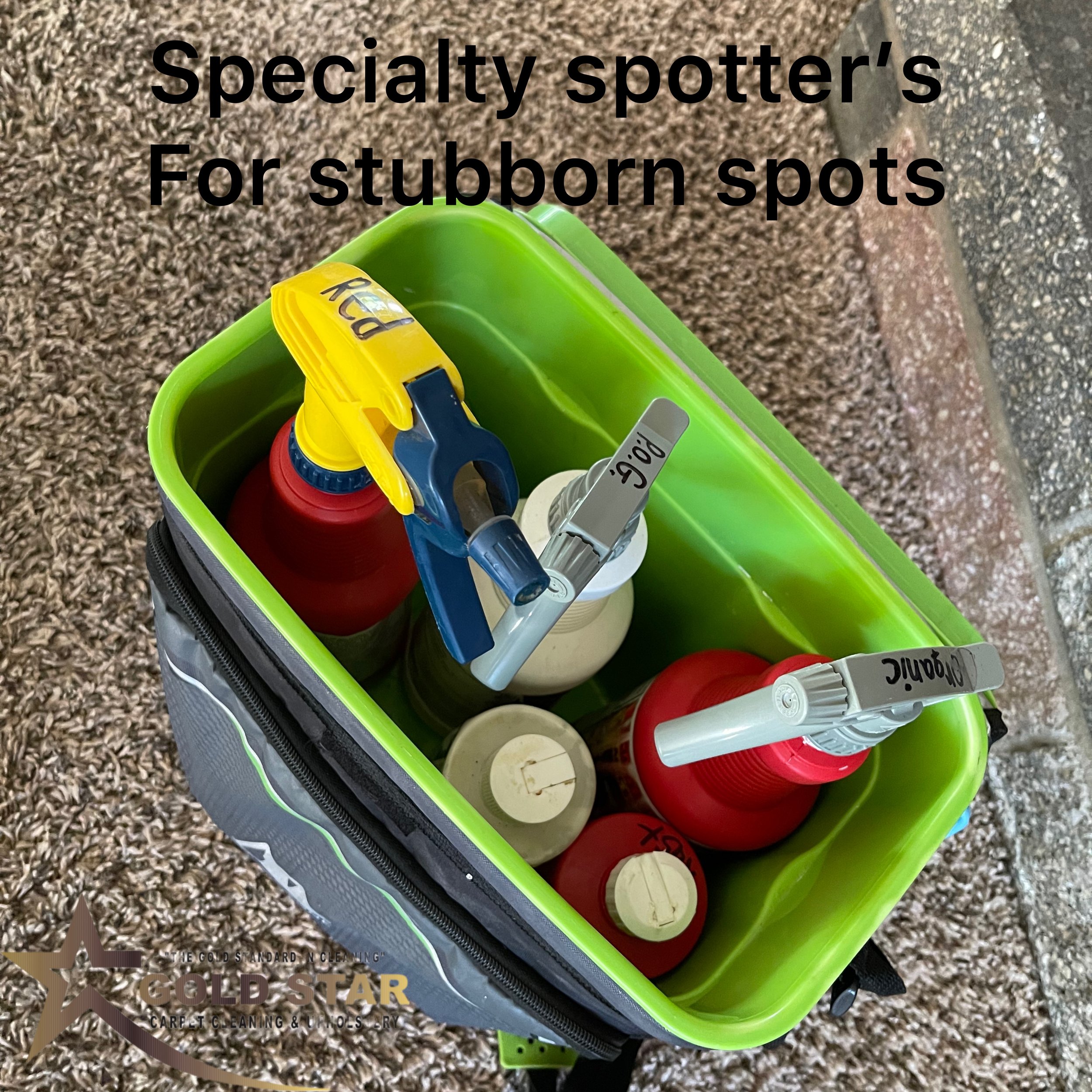 Gallery — Oroville Carpet Cleaning