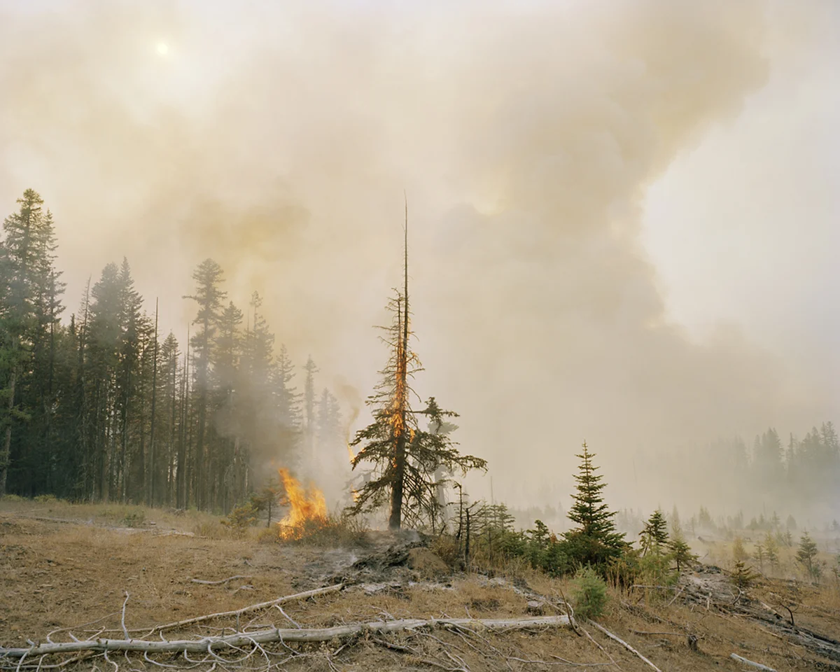 Fires_1.jpg