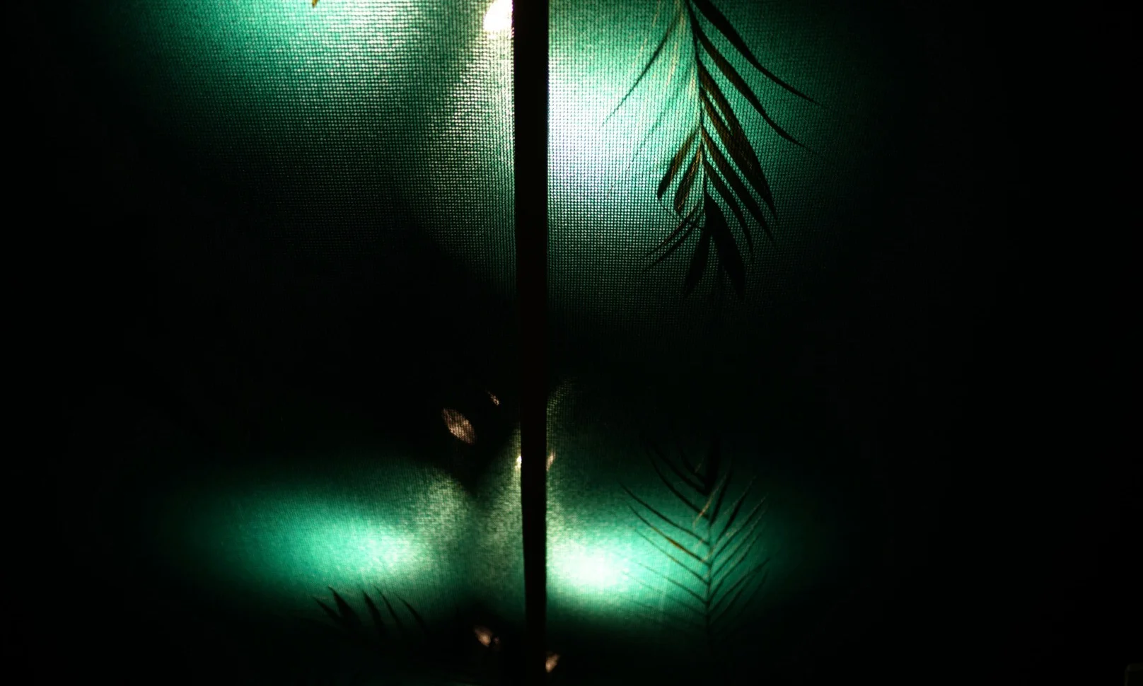 7_palm.jpg