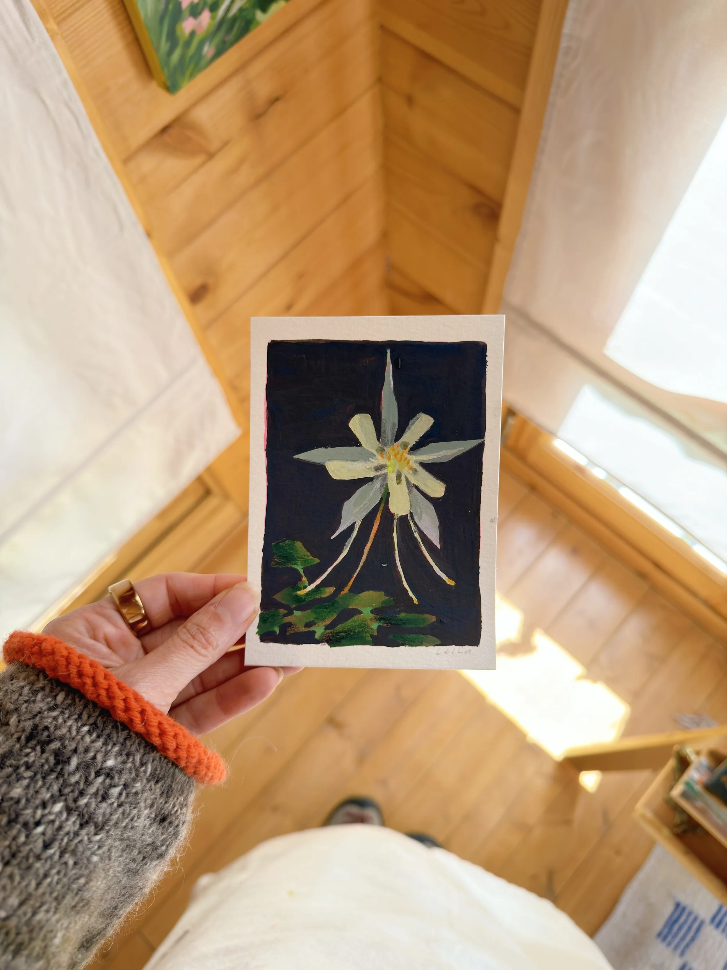 night flower original painting