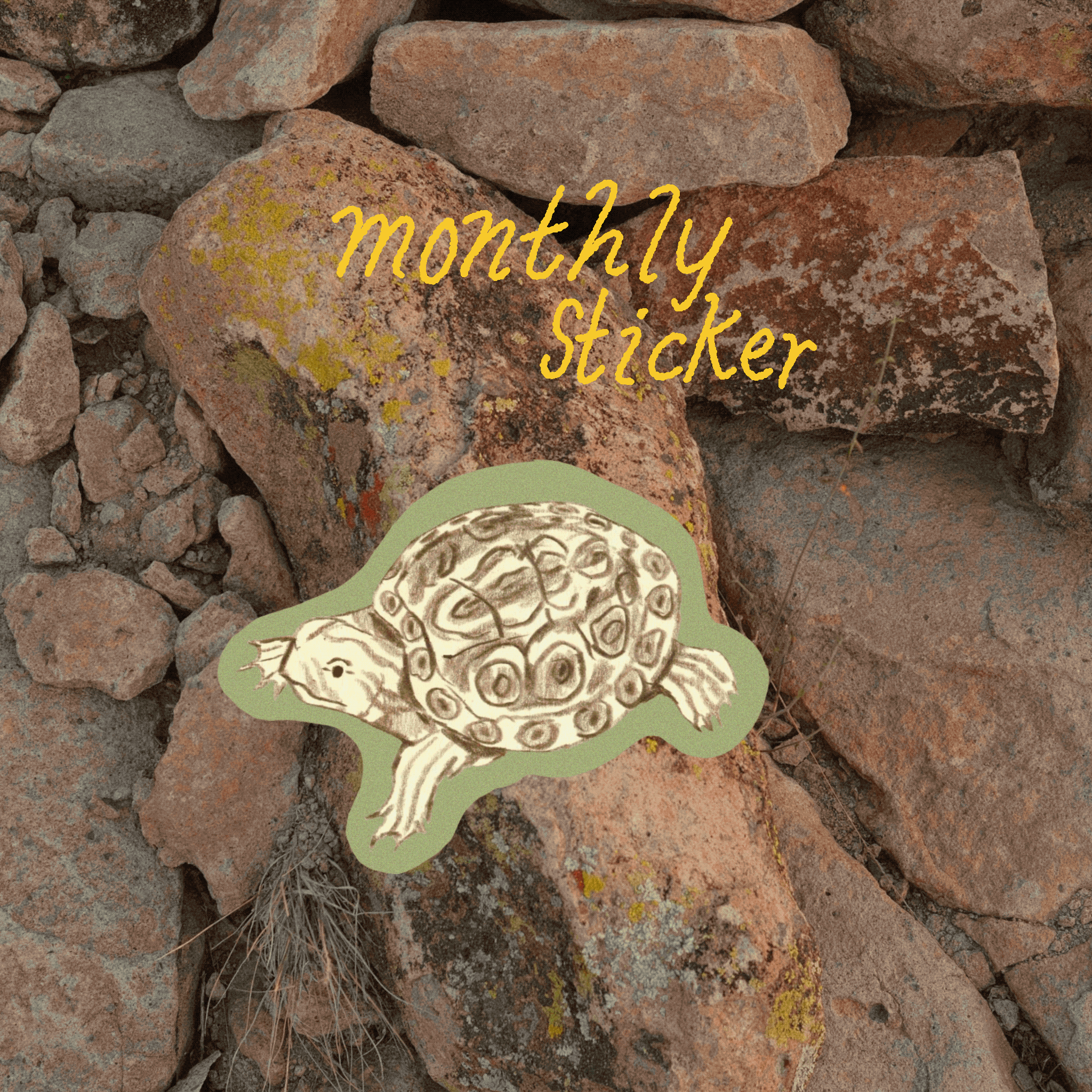 Untitled_Artwork 47.gif