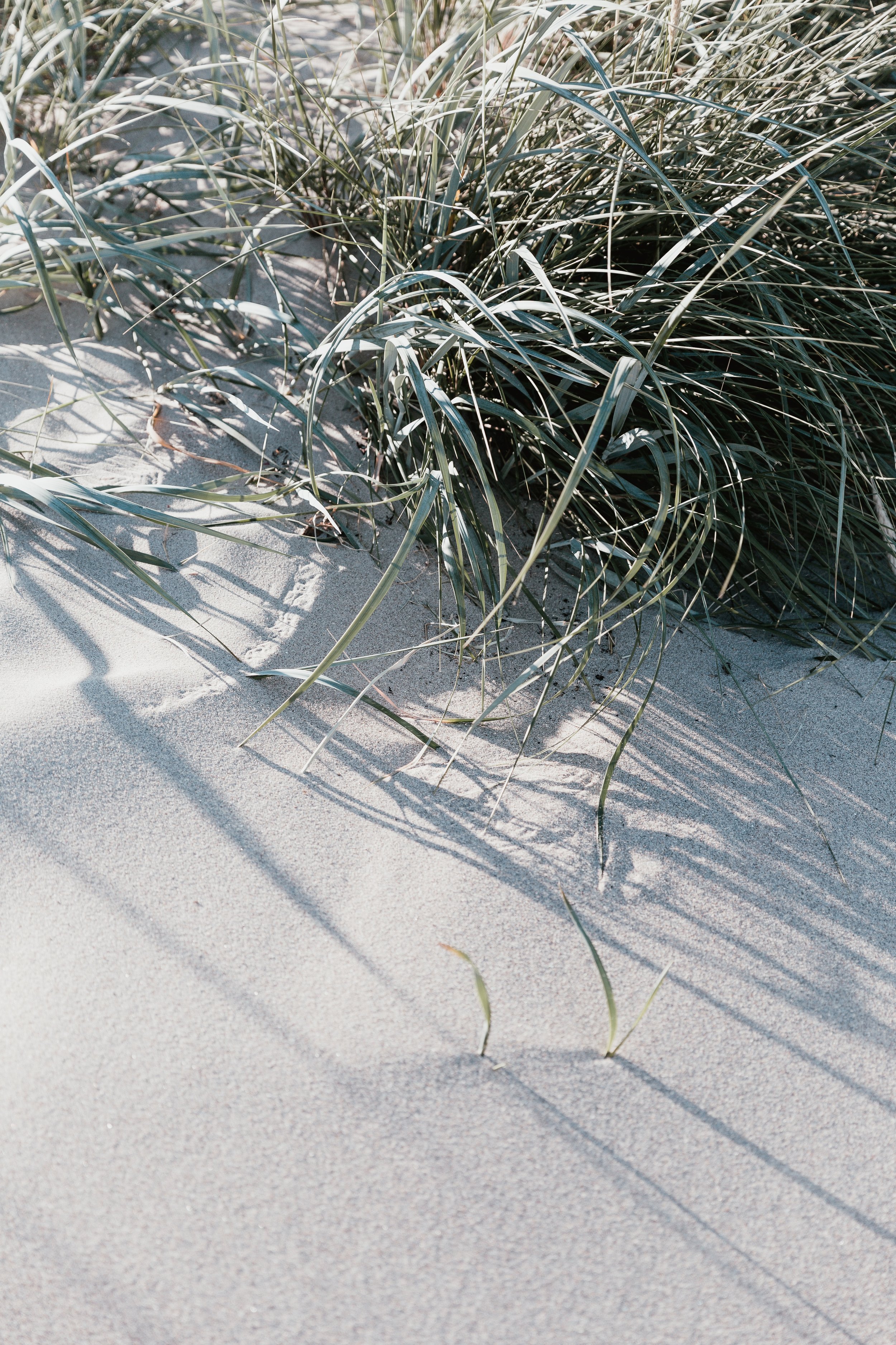 marten-bjork-726404-unsplash.jpg