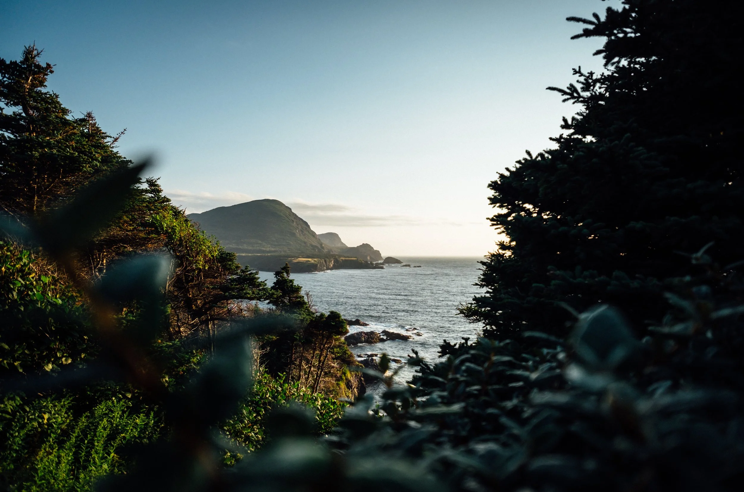 tim-foster-372980-unsplash.jpg