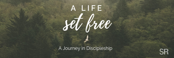 Set Free email header.png