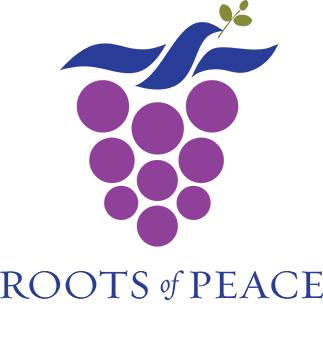 Roots of Peace