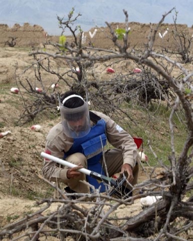 Roots-of-Peace-ROP-agriculture-demine-landmine-warzone.jpg