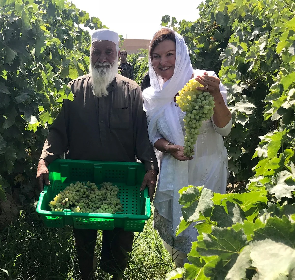 Heidi-Kuhn-Roots-of-Peace-Afghanistan-farmer-grapes-trellis-vineyards.jpg