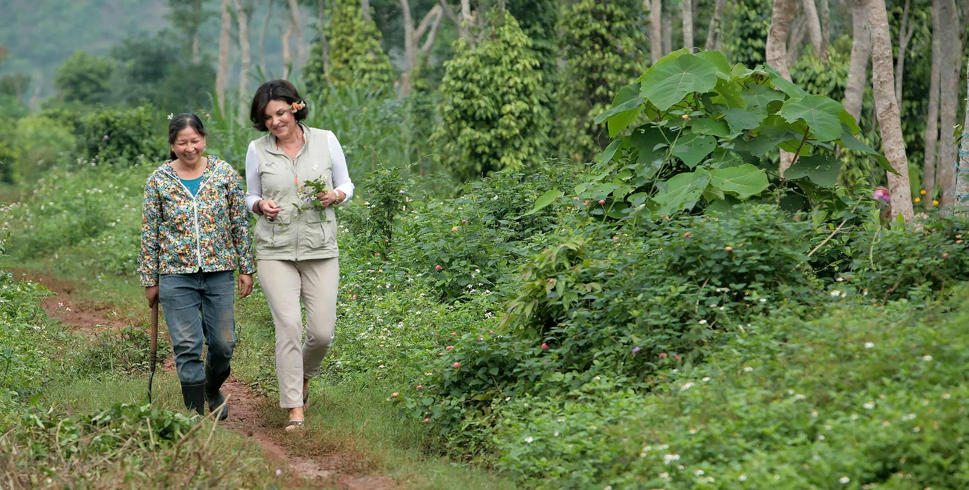 Heidi-Kuhn-Roots-of-Peace-Quang-Tri-Vietnam-path-pathway.jpg
