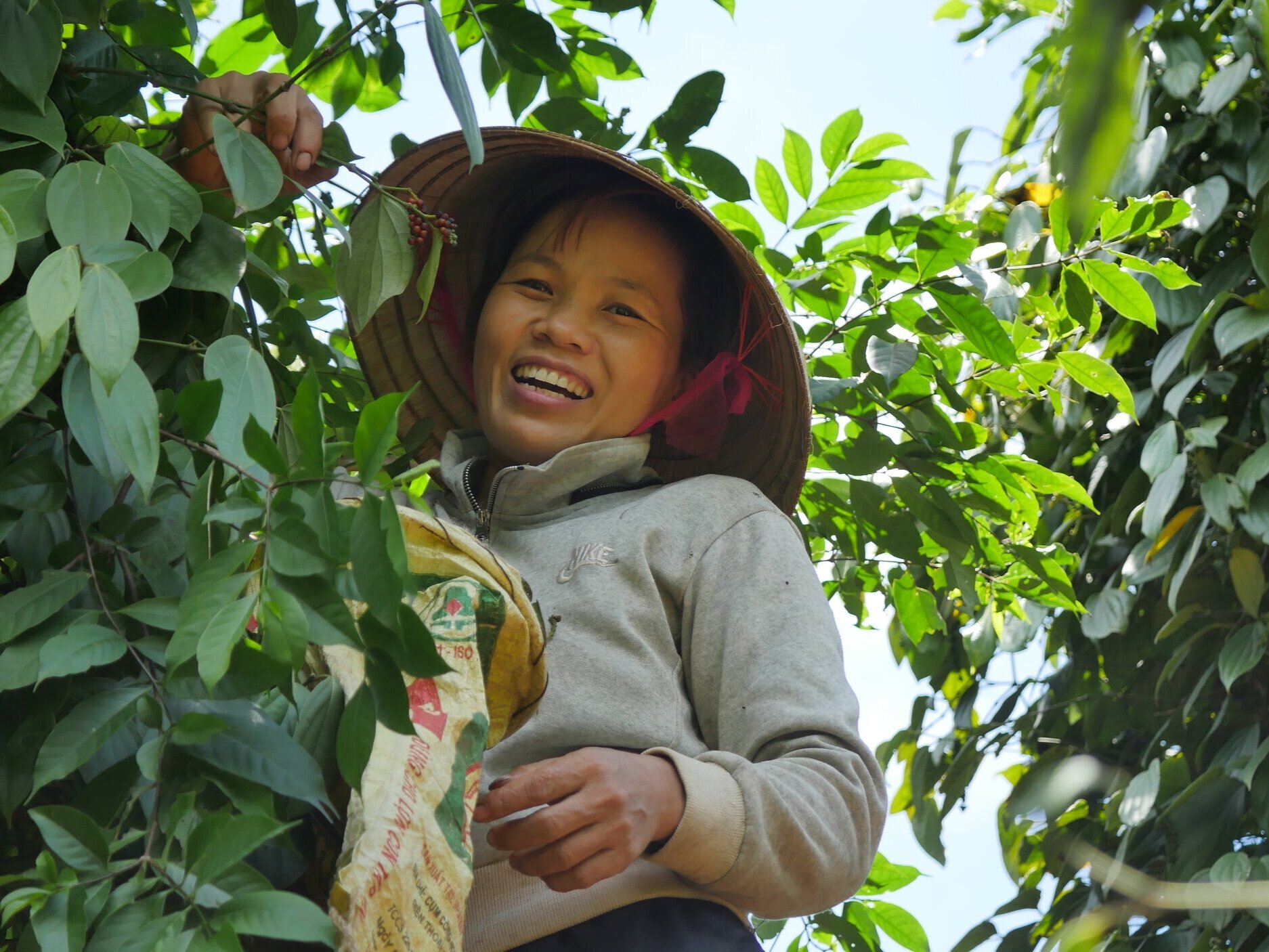 Woman-Farmer-Pepper-Vine-Smile-Vietnam-Roots-of-Peace-ROP