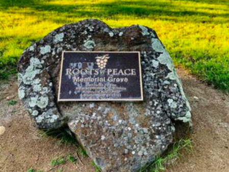 VETERANS DAY—ROOTS OF PEACE GROVE—NAPA VALLEY