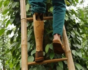 THE STORY OF MR. NGUYEN NGOC TU