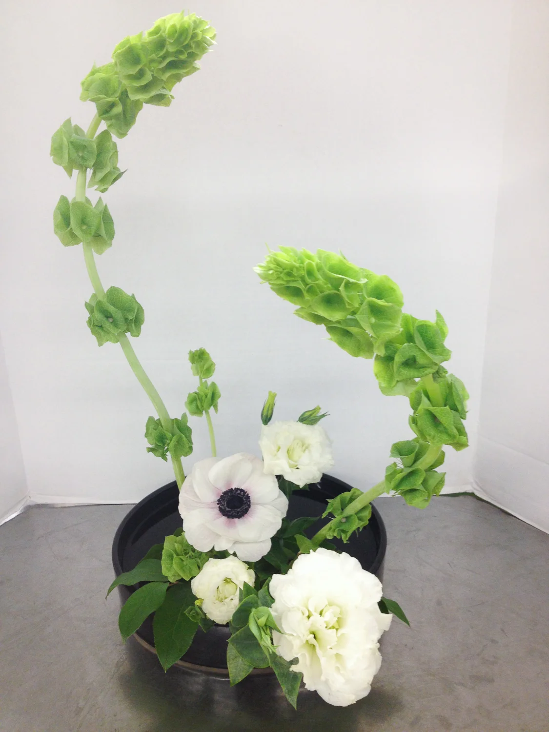 Bells of Ireland, anemones, lisianthus