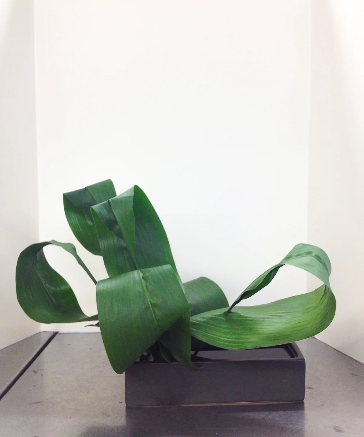 All green with movement