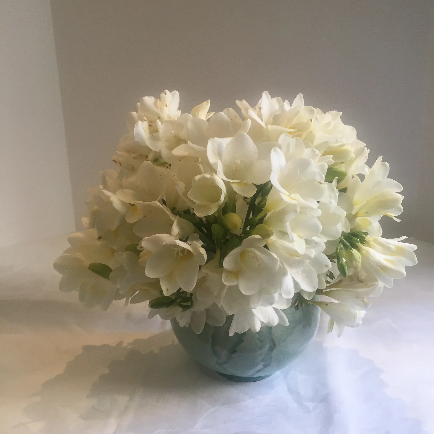 White Monochrome, Freesias