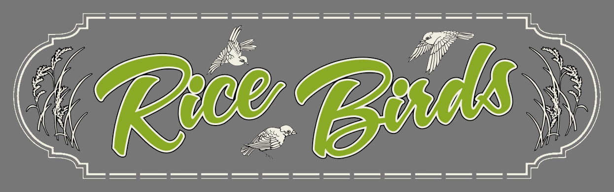 RiceBirdsLogo Dr gray.jpg