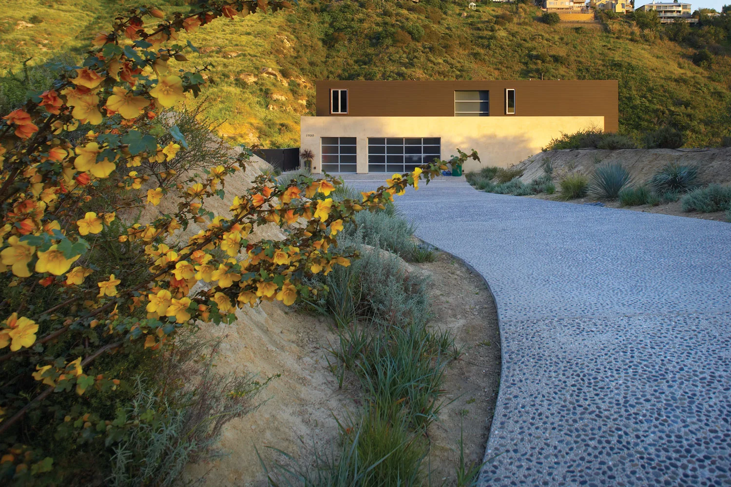 Contemporary-Modern-Driveway-Glass-Garage-Doors-Corbin-Reeves.jpg