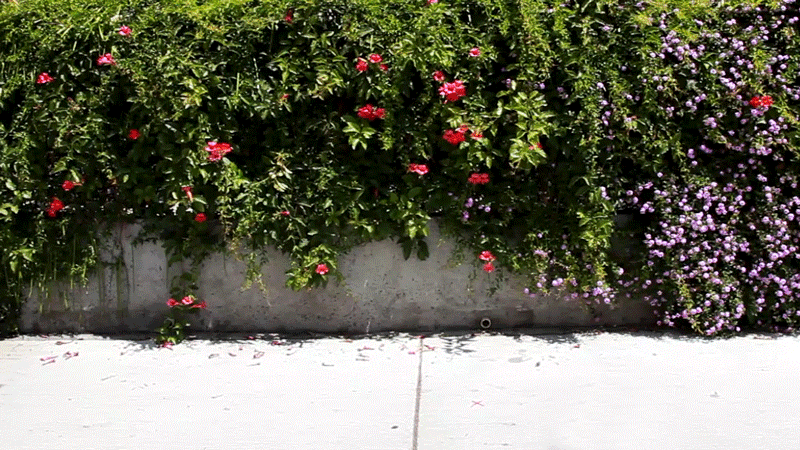 kick-flip.gif