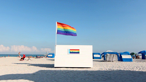 B miami.gif