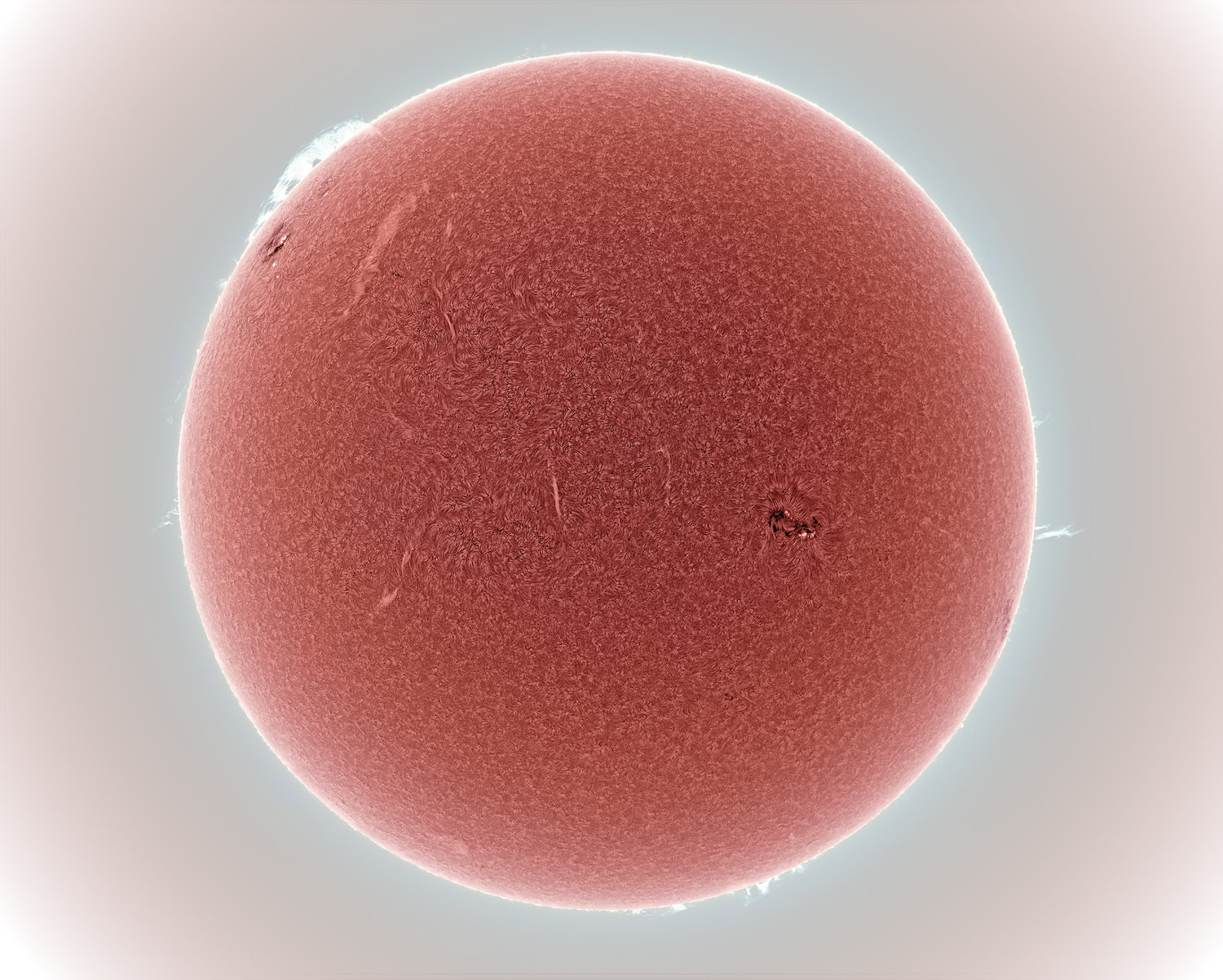 sun080816_color.jpg