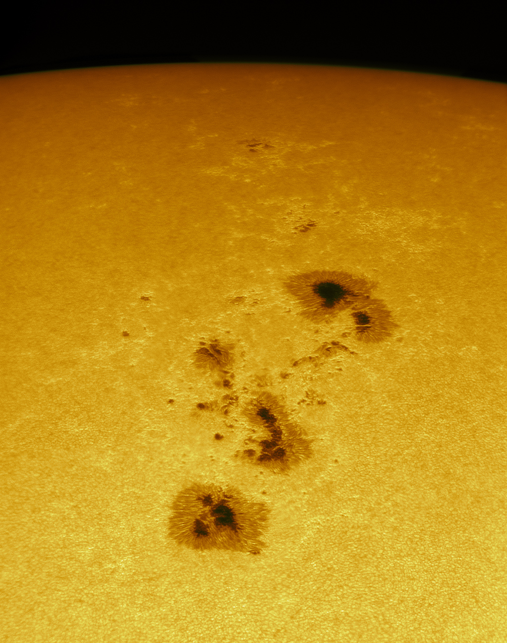 AR2339.jpg