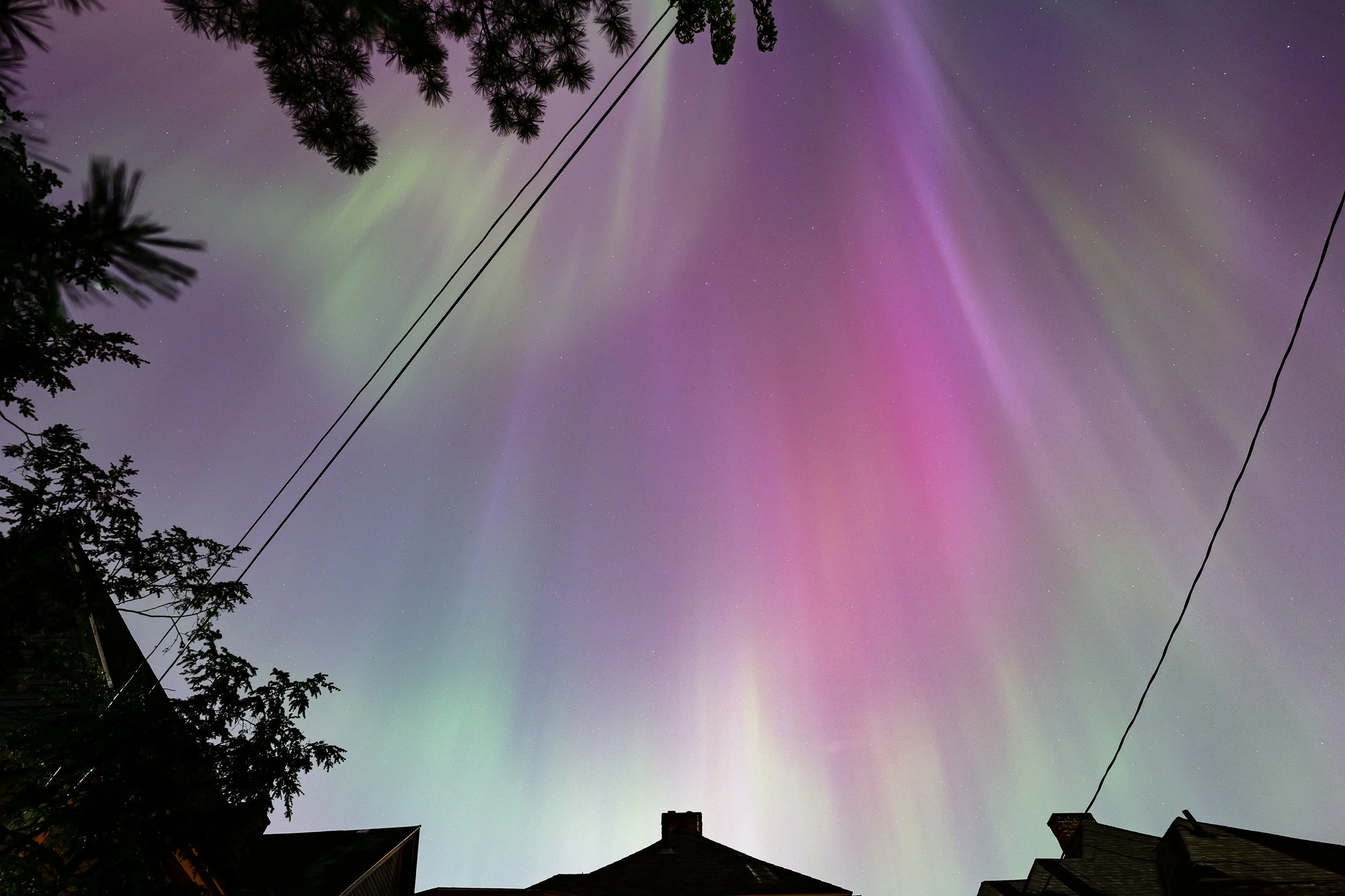  From our city backyard! 