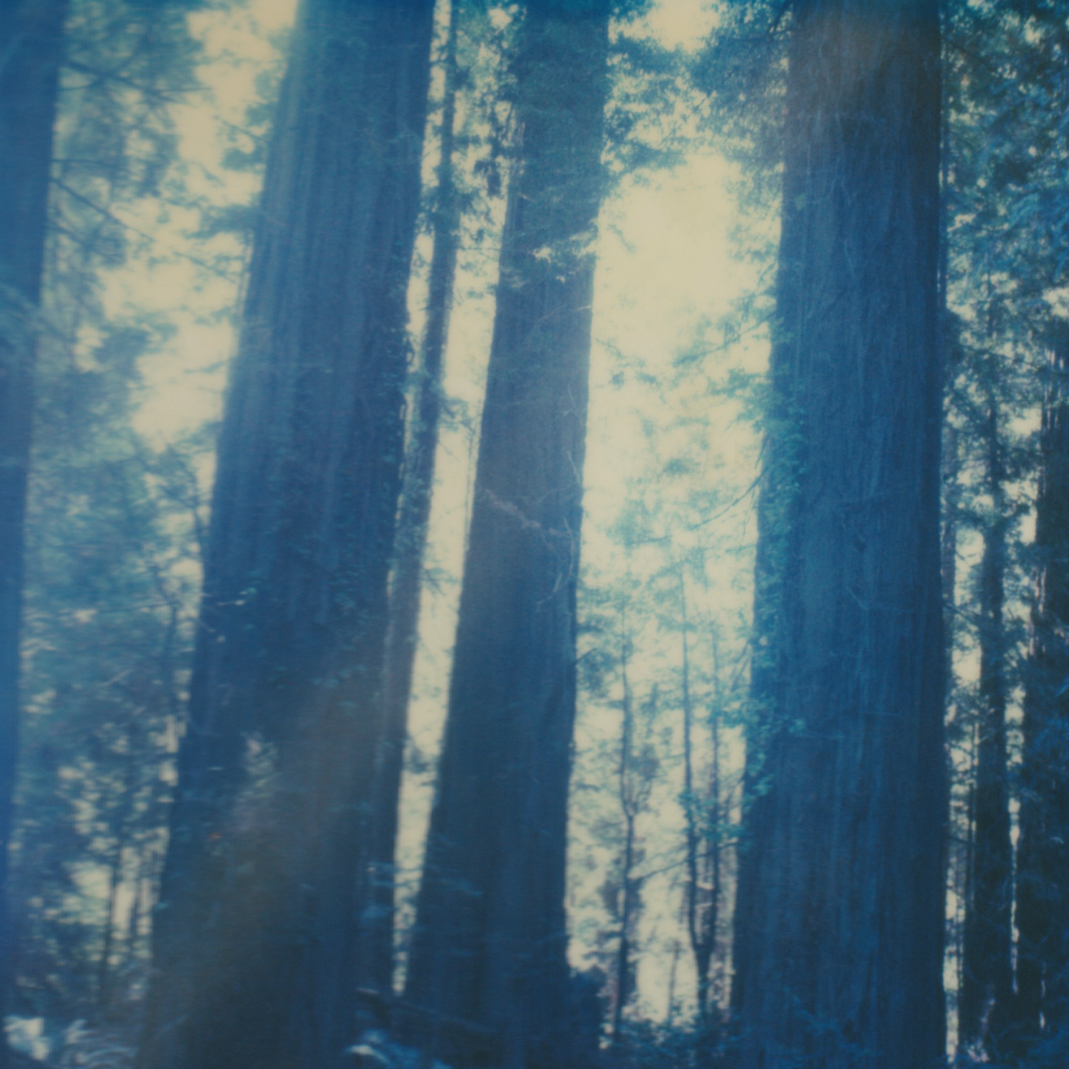 RITUAL, SACRED SPACE, AND SACRED MEDICINES: PART 1